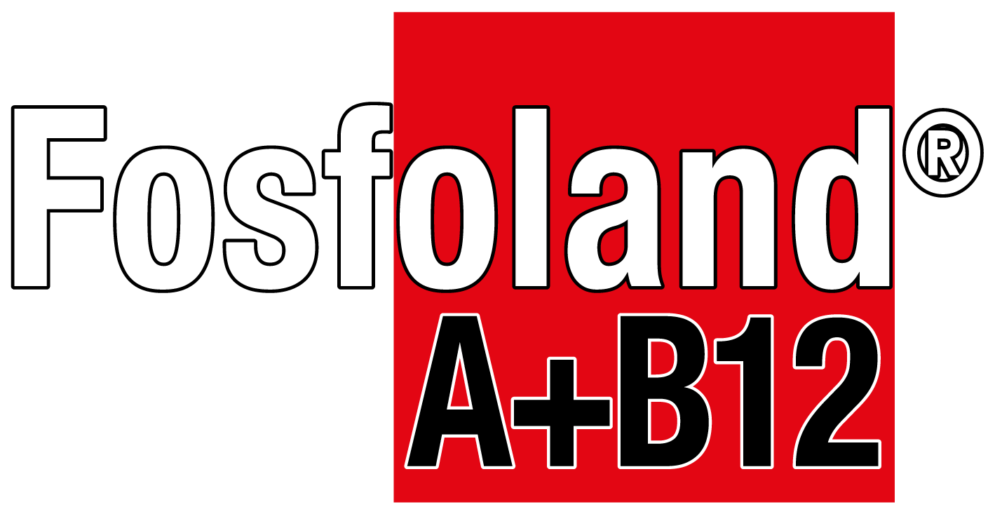 imagen del logo